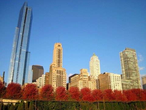 Why We Love Fall Scavenger Hunts | Chicago Company Events | WCF