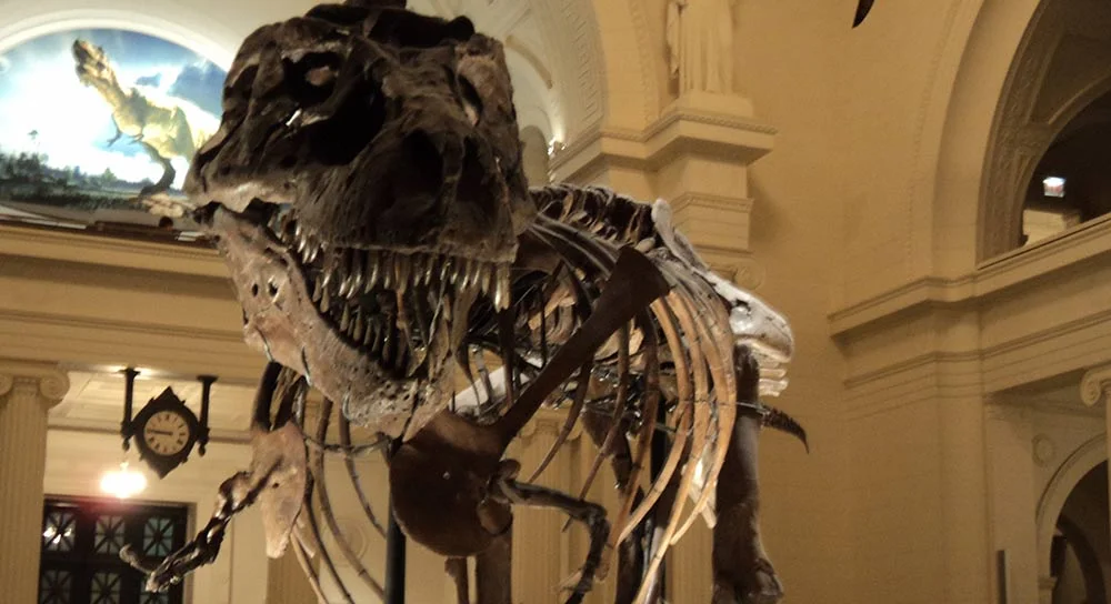 Night-at-the-Museum3_desktop