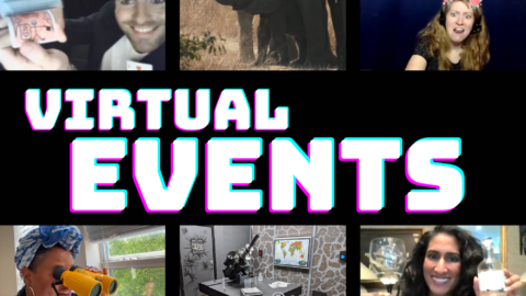 Sick of Virtual Trivia Happy Hours? Try These Out-of-the Box Virtual Event Ideas!